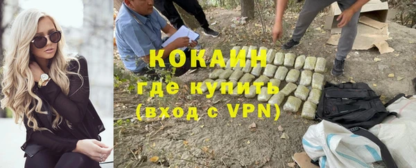 прущие грибы Армянск