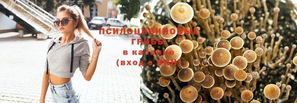 мдпв Покровск