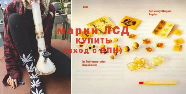 прущие грибы Армянск