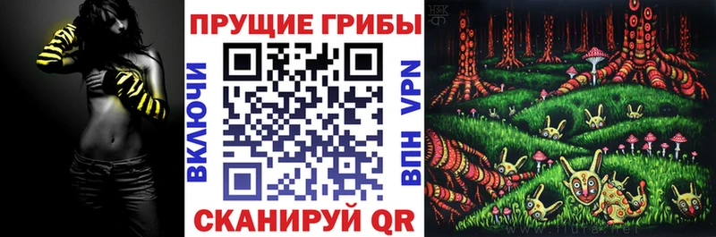Галлюциногенные грибы Psilocybe Юрьевец